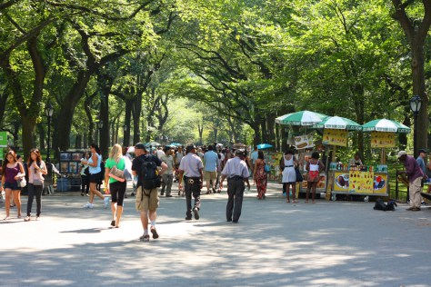 the avenue under the elms central park